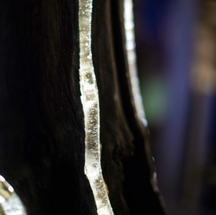 Close up of addressable LED strip lighting mounted to a fallen tree as part of creative technology agency’s Adobe Heart Tree public art installation.